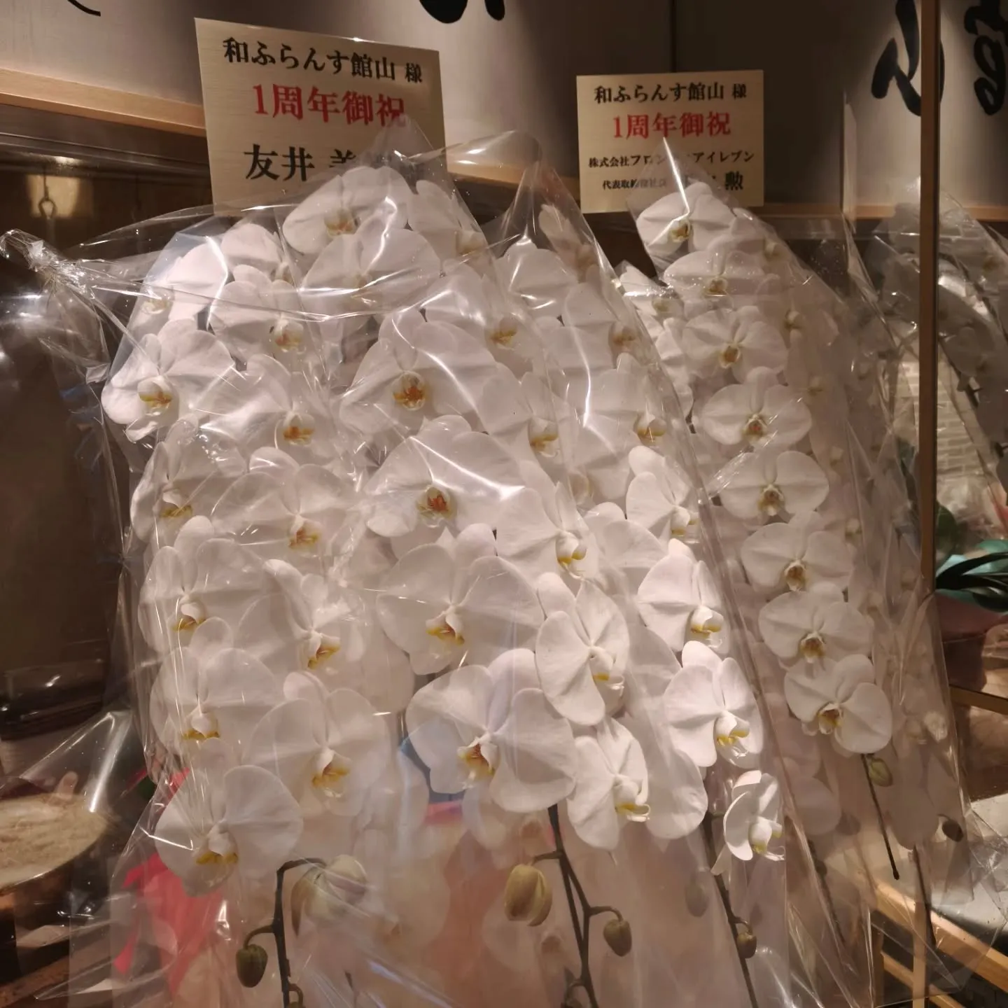 皆様、お陰様で本日和ふらんす舘山、1周年を迎えさせて頂きます...